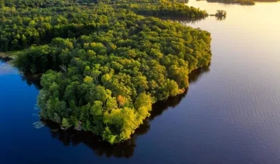 El epicentro de todo este reino natural es el río Amazonas.