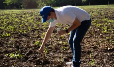 Miguel Vergara, secretario de Desarrollo Económico.