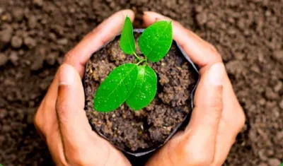 Las Reservas de la Sociedad Civil son espacios a cargo de ciudadanos decididos a conservar sus predios, cultura y patrimonio. 