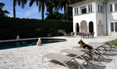 El pastor alemán llamado Gunther VI.
