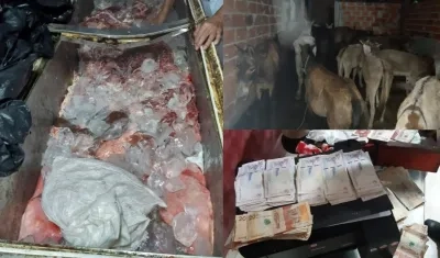 Carne, burros y caballos hallados en el operativo. 