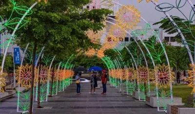 Los girasoles serán los protagonistas en el alumbrado navideño de la Gobernación del Atlántico.