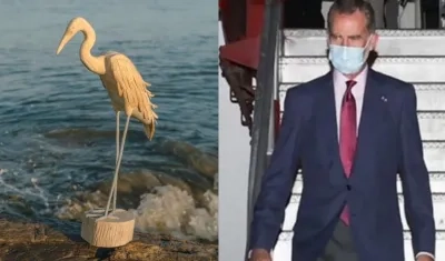 La garza que recibirá el Rey Felipe VI.