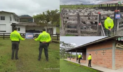 Parte de los bienes de 'Otoniel' y 'Nicolás'.