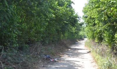 Trocha 'El Carmen', donde fue hallado el cuerpo. 