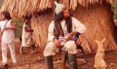 El mamo Mauricio Jandigua Awiqui.