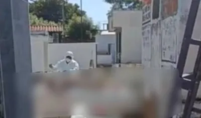 Imagen de la necropsia.