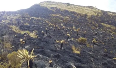 Alarma por incendio en el páramo de Santurbán, que abastece de agua a más de dos millones de personas.