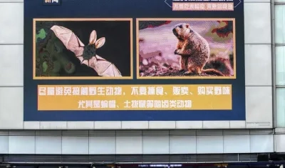 Diferentes hipótesis han surgido para explicar el Covid-19.