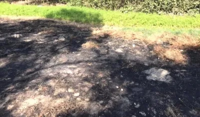 Quemas para promover cultivos o invasiones.