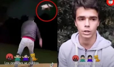 Tomás Piedrahita lanza el gato y luego pide disculpas. 