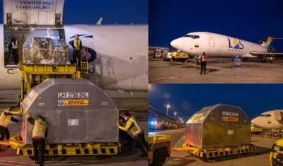 Llegada de vacunas de Pfizer.