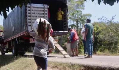 Campesinos lograron vender la cosecha de yuca.