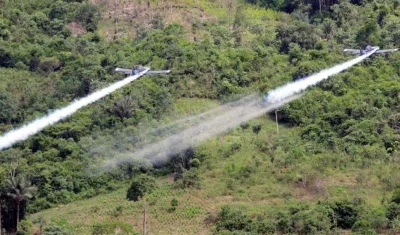 Diez relatores de ONU piden a Duque que no haya aspersiones con glifosato.