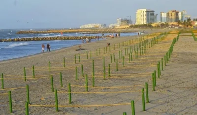 Abren sector de las letras en Marbella para el disfrute de los turistas locales y foráneos.