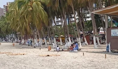 El decreto ya fue aprobado por la Alcaldesa Virna Johnson