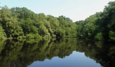 Ciénaga El Torno, en el Parque Isla Salamanca. 