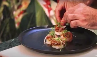 Imagen de los germinados.