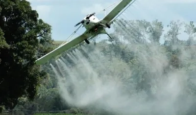 Fumigación con glifosato.
