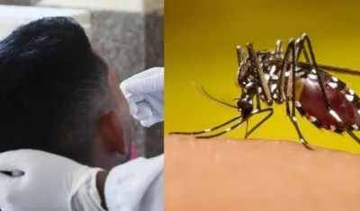 Imágenes referenciales.