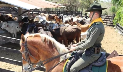 Operativos de control en fincas de los municipios. 