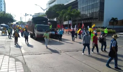 Imagen de la marcha.