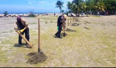 Demarcación de los nuevos sectores.