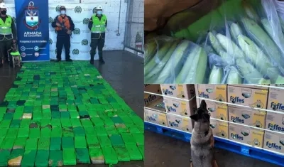 Cargamento de cocaína incautado por las autoridades. 