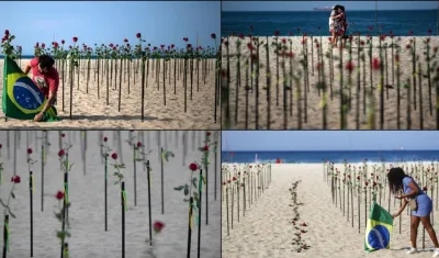 Rosas sembradas en las playas de Copa Cabana. 