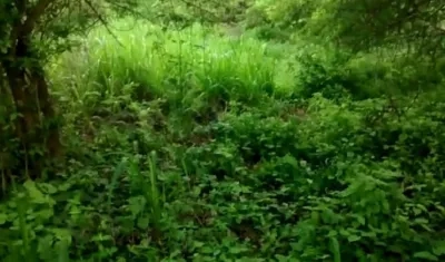 En esta zona enmontada fue encontrado el cuerpo.