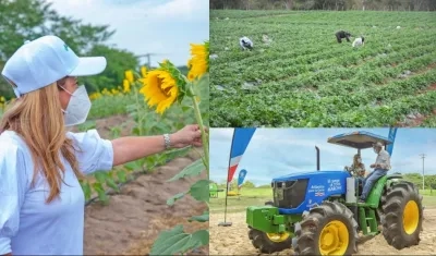 La gobernadora del Atlántico Elsa Noguera impulsa el agro con 'El campo a toda marcha'.