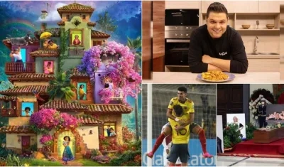 Los principales temas de la publicación MiREDvista.