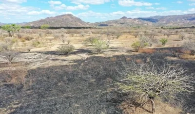 La pandemia de Covid-19 contribuyó al empeoramiento de los datos de hambre en el mundo.