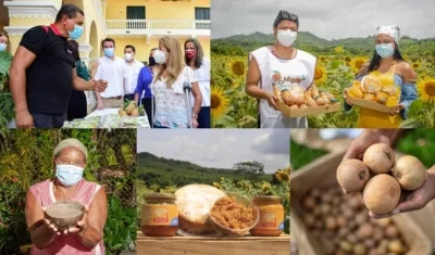 Imágenes de los festivales.