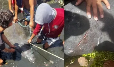 Los pescadores y las heridas que sufrió 'Julieta'.