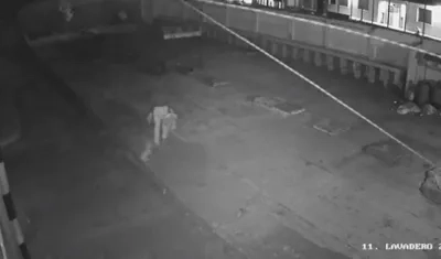 Una cámara grabó el momento de la agresión al perro dentro del batallón. 