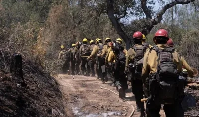  El equipo de Big Bear Hot Shots camina por un sendero situado a lo largo de la carretera 600 en Raymond, CA..