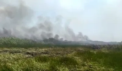 Incendio Parque isla Salamanca