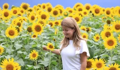 Gobernadora Elsa Noguera en el cultivo de girasoles en Baranoa.