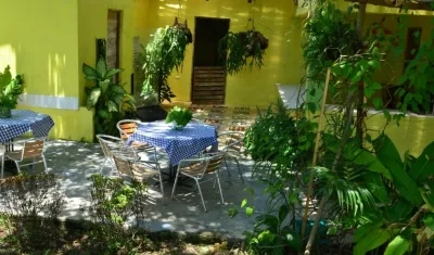 La Casita Amarylla tiene activas sus cuentas en Instagram y Facebook si quiere más información.