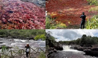 Imágenes de Caño Cristales.