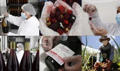 Imágenes de la producción de los campesinos.