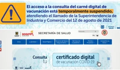 En la foto, abajo cuando estaba en actividades el certificado de vacunas y el aviso de hoy de suspensión.