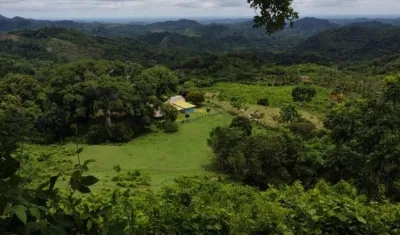  Los 19 sitios fueron identificados con base en la información aportada por las comunidades y firmantes del Acuerdo de Paz.