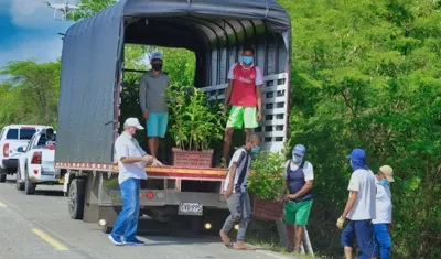 La C.R.A. hará el seguimiento a la siembra.