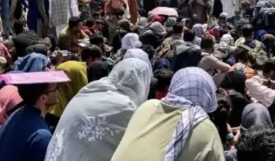 Imagen de la estampida.