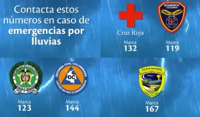 Estos son los números de emergencia.