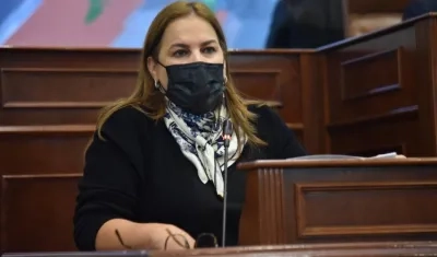 Martha Villalba, Representante a la Cámara.