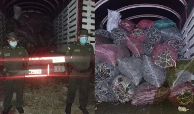 Carbón decomisado por la Policía. 