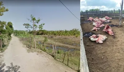 Robo de ganado en la isla gloria, frente a Cabica. 